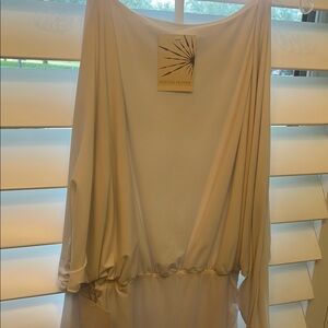 Boston Proper Elegant Long Sleeve Dress in Cream